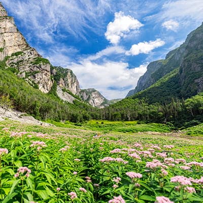 A lush valley with pink wildflowers in the foreground, surrounded by green-clad mountains. The sky is vibrant blue with fluffy white clouds, framing the scenic landscape.